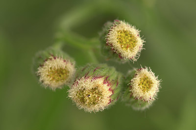 BUITEN BEELD Foto: 334298