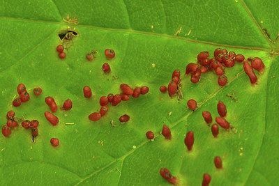 BUITEN BEELD Foto: 334321