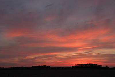BUITEN BEELD Foto: 334323