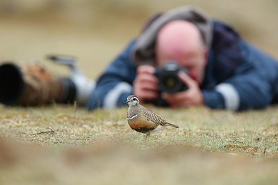 BUITEN BEELD Foto: 334335