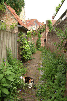 BUITEN BEELD Foto: 334368