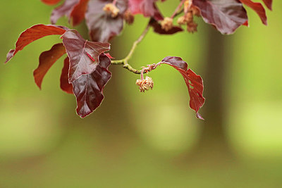 BUITEN BEELD Foto: 334417