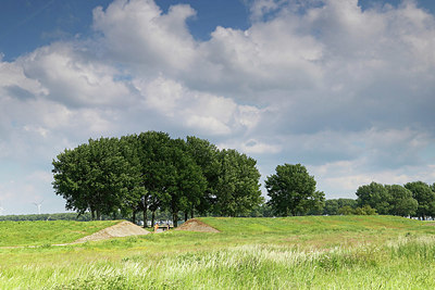 BUITEN BEELD Foto: 334443