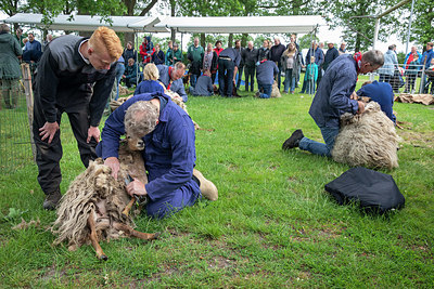 BUITEN BEELD Foto: 334562