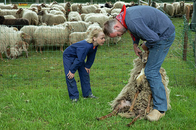 BUITEN BEELD Foto: 334566