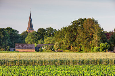 BUITEN BEELD Foto: 334650