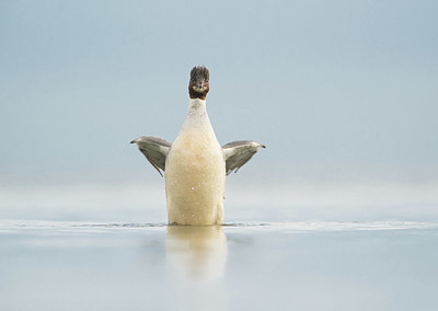 BUITEN BEELD Foto: 334685