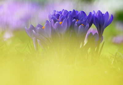 BUITEN BEELD Foto: 334772