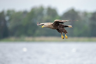 BUITEN BEELD Foto: 334908