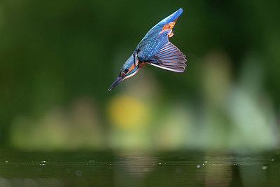 BUITEN BEELD Foto: 334923