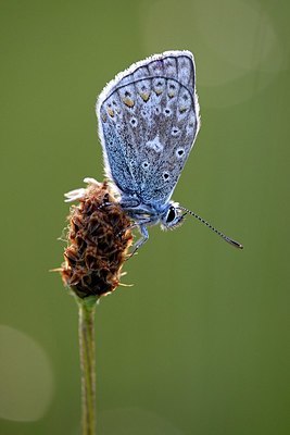 BUITEN BEELD Foto: 335011
