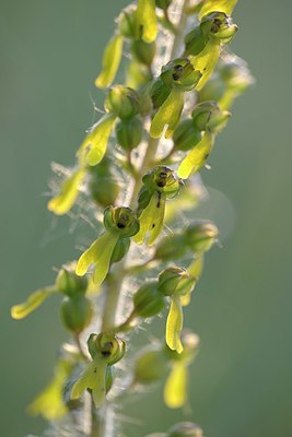 BUITEN BEELD Foto: 335012