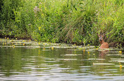 BUITEN BEELD Foto: 335056