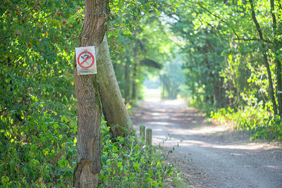 BUITEN BEELD Foto: 335287