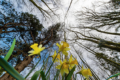 BUITEN BEELD Foto: 335371