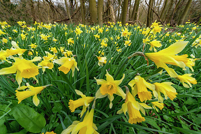 BUITEN BEELD Foto: 335381