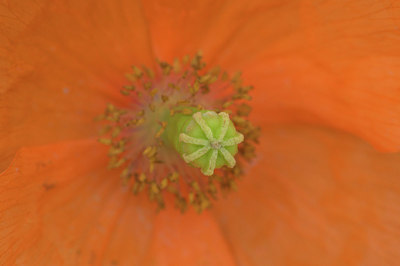 BUITEN BEELD Foto: 335401