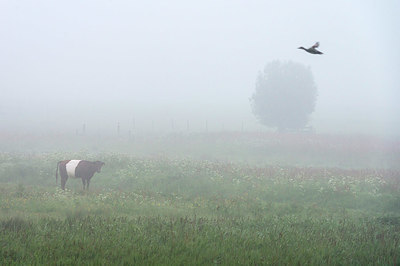 BUITEN BEELD Foto: 335418