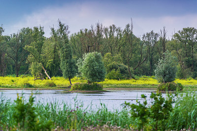 BUITEN BEELD Foto: 335539