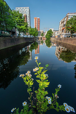 BUITEN BEELD Foto: 335544