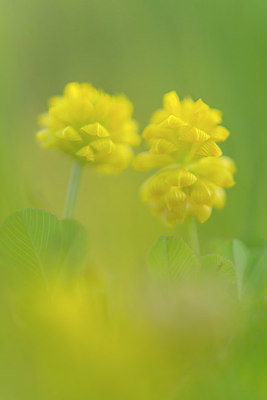 BUITEN BEELD Foto: 335557