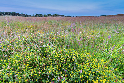 BUITEN BEELD Foto: 335727