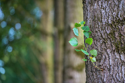 BUITEN BEELD Foto: 335753
