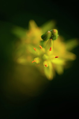 BUITEN BEELD Foto: 335778