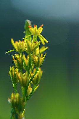 BUITEN BEELD Foto: 335789