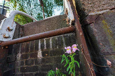 BUITEN BEELD Foto: 335792