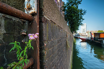 BUITEN BEELD Foto: 335804