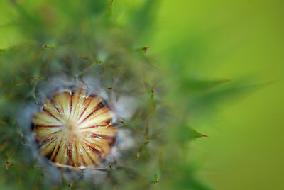 BUITEN BEELD Foto: 335811