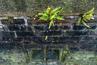 BUITEN BEELD Foto: 335818