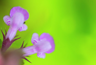 BUITEN BEELD Foto: 335843