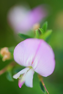 BUITEN BEELD Foto: 335844