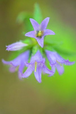 BUITEN BEELD Foto: 335878