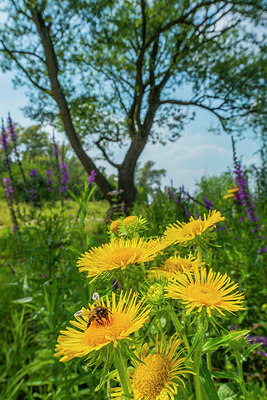 BUITEN BEELD Foto: 335893