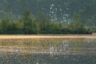 BUITEN BEELD Foto: 335911