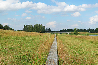 BUITEN BEELD Foto: 336025
