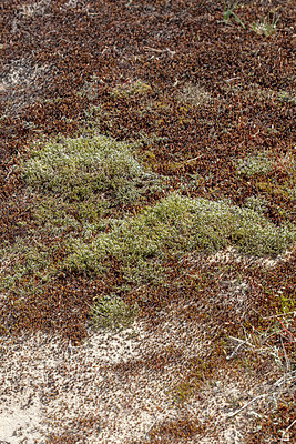 BUITEN BEELD Foto: 336063