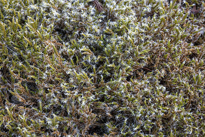 BUITEN BEELD Foto: 336064