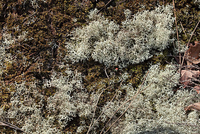 BUITEN BEELD Foto: 336068