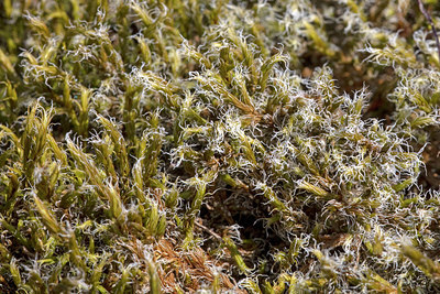 BUITEN BEELD Foto: 336079