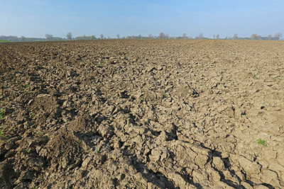 BUITEN BEELD Foto: 336125