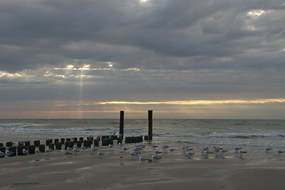 BUITEN BEELD Foto: 336215
