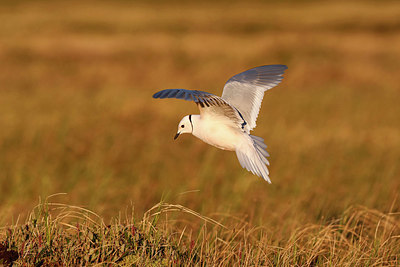 BUITEN BEELD Foto: 336322