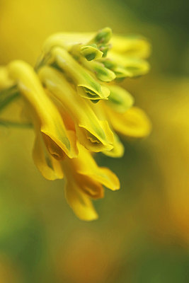 BUITEN BEELD Foto: 336399