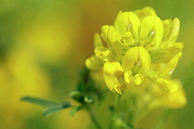 BUITEN BEELD Foto: 336412