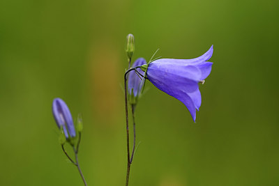 BUITEN BEELD Foto: 336421