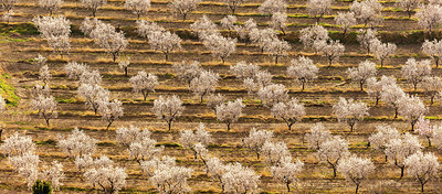 BUITEN BEELD Foto: 336435